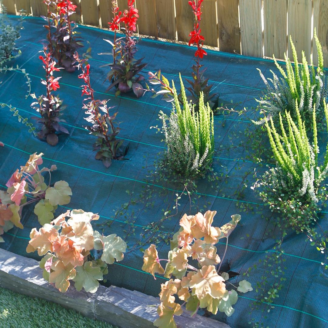 Malla antihierbas groundsol 120 g verde nortene