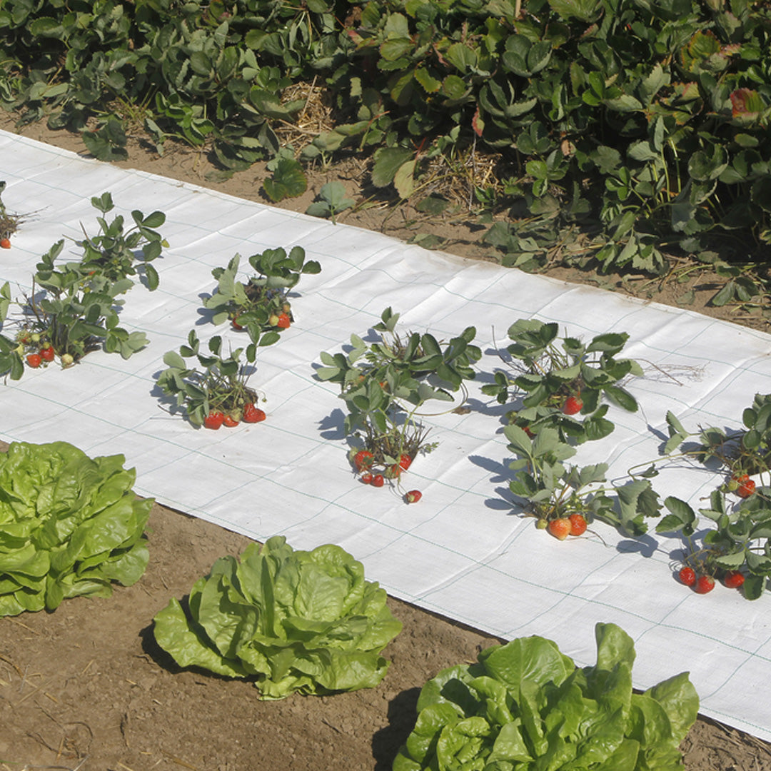 Malla antihierbas groundsol 120 g blanco nortene