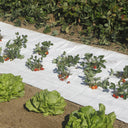 Malla antihierbas groundsol 120 g blanco nortene