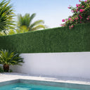 Seto hidenatur plus máxima ocultación