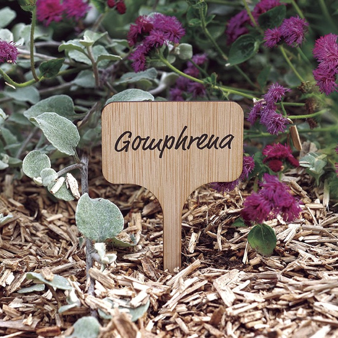 Nort label bamboo 11cm (15)nt x24