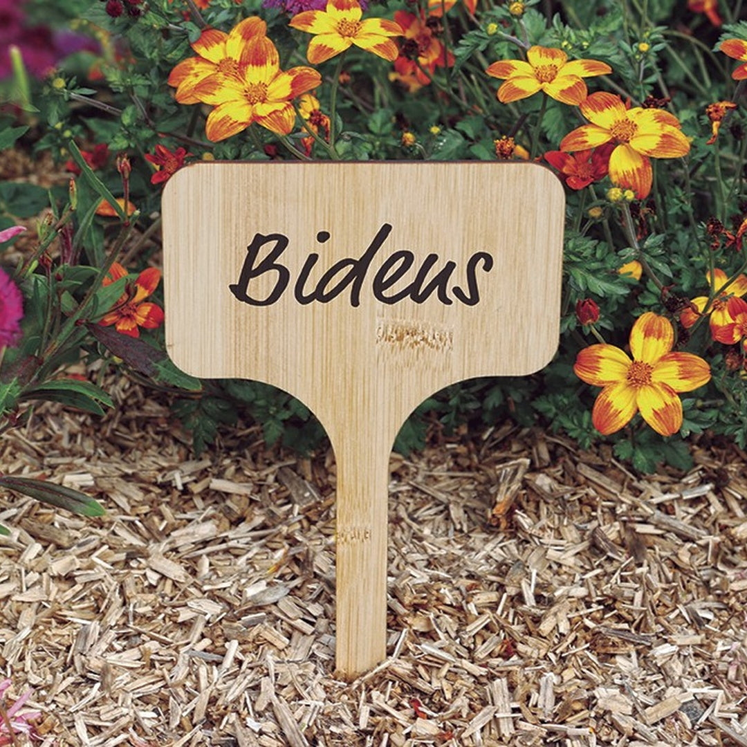 Nort label bamboo 20cm (10)nt x24