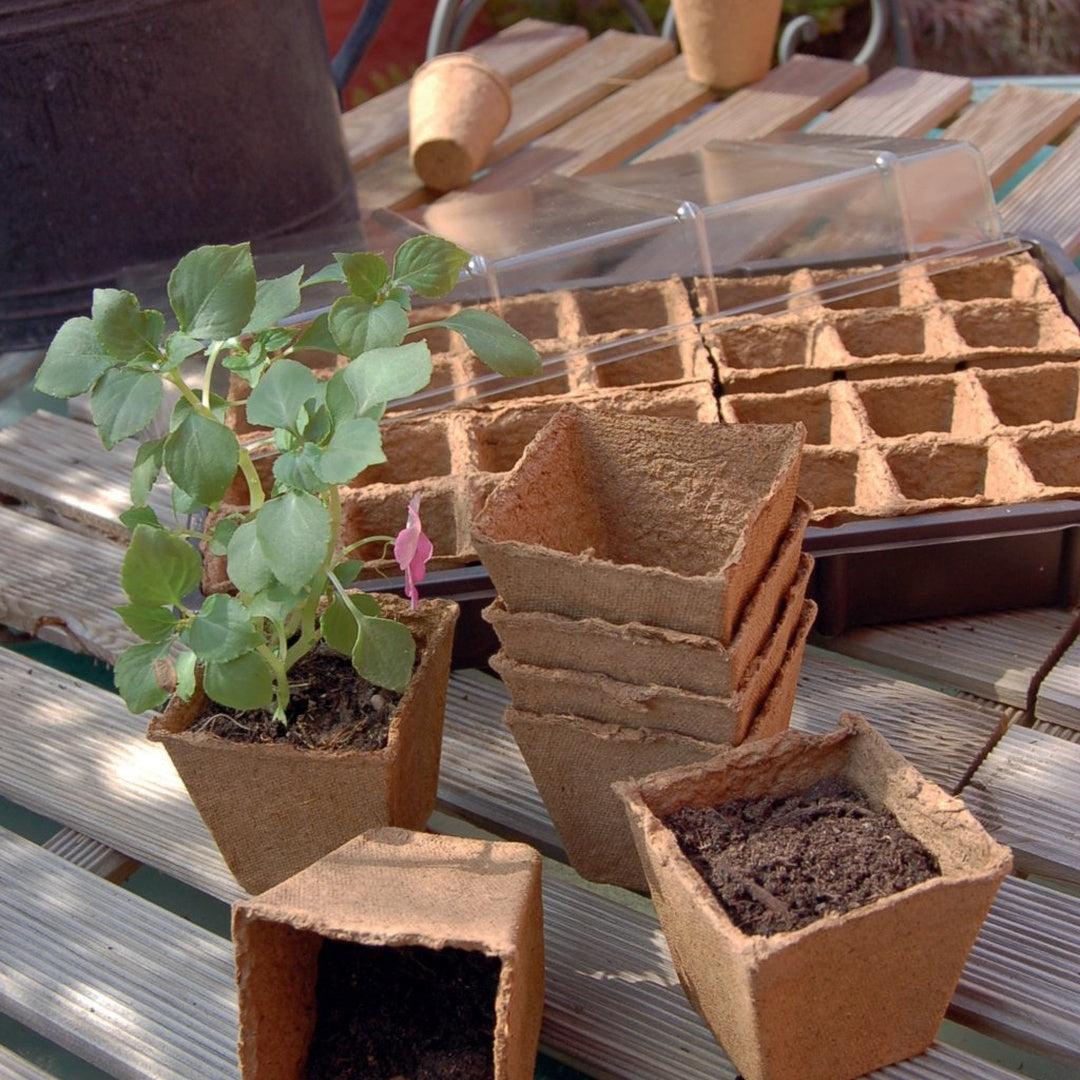 Nort growing pot (20) 6x6cm nt x24