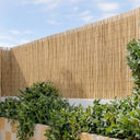 Cañizo entero varilla media reedcane plus nortene