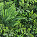 Jardín vertical hellene 100 x 100 cm nortene