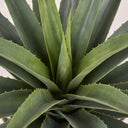 Pianta di agave artificiale 73 cm