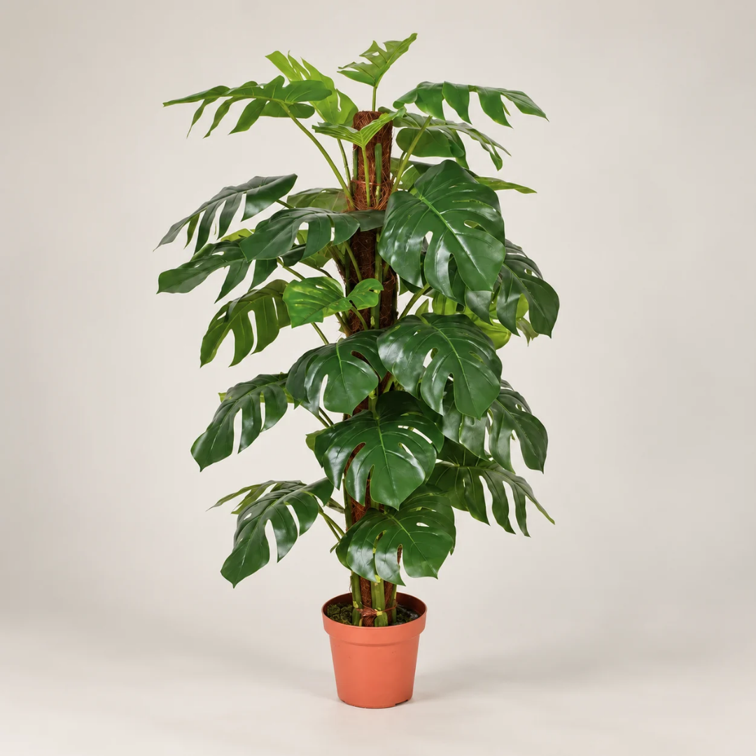 Pianta di monstera artificiale 135 cm