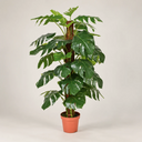 Planta artificial monstera 135 cm