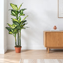 Planta artificial em forma de pata de elefante, 150 cm 