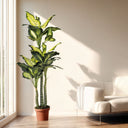 Planta artificial pata de elefante 150 cm