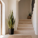 Planta artificial lengua de tigre 105 cm bicolor