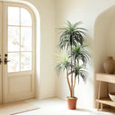 Planta artificial nolina 185 cm