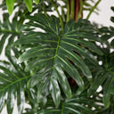 Planta artificial filodendro 150 cm