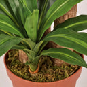 Planta artificial drácena 145 cm