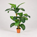 Calathea planta artificial 135 cm