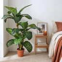 Calathea planta artificial 135 cm