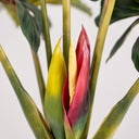 Planta artificial arcoiris 170 cm nortene