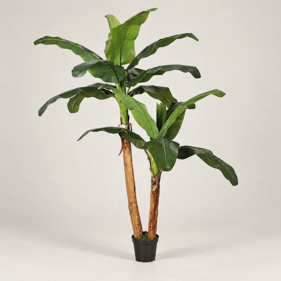 Pianta di banana artificiale 180 cm