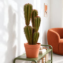 Cactus artificial euphorbia suzannae 57,5 cm nortene