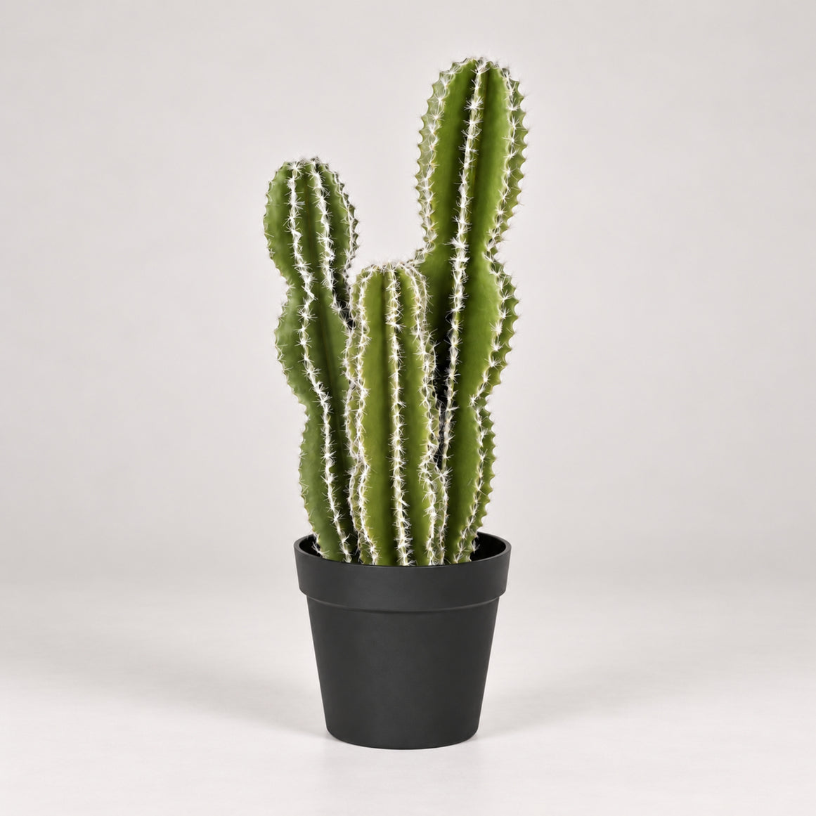 cactus château de fées 62 cm nordène