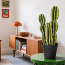 Cactus castillo de hadas 62 cm nortene