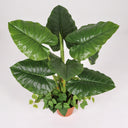 Planta artificial de taro de 100 cm