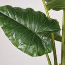 Planta artificial de taro de 100 cm