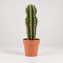 Cactus artificiel Stetsonia coryne 64 cm