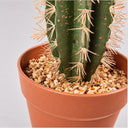 Cactus artificiel Stetsonia coryne 64 cm