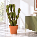 Cactus artificial euphorbia suzannae 90 cm nortene