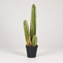 Organe artificiel de cactus 120 cm nordène
