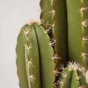 Organo artificiale di cactus 120 cm nortene