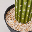 Cactus saguaro artificiale 145 cm nortene