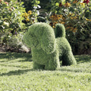 Figura decorativa plush bobby 30x48x50 cm verde nortene