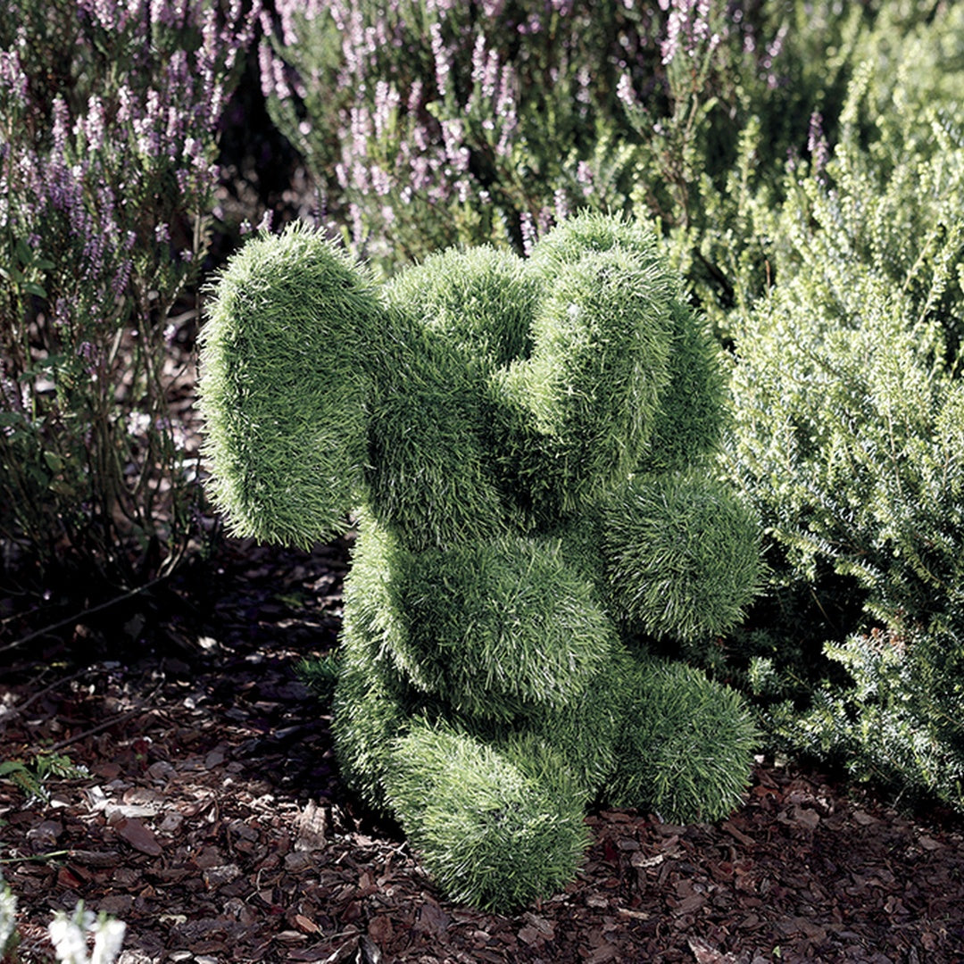 Figura decorativa elphy 25x25x35 cm verde nortene