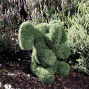 Figura decorativa elphy 25x25x35 cm verde nortene