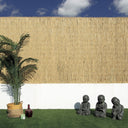 Cañizo bambú pelado multivarilla reed multi nortene