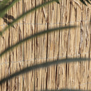 Cañizo bambú pelado multivarilla reed multi nortene