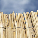 Cañizo bambú pelado multivarilla reed multi nortene