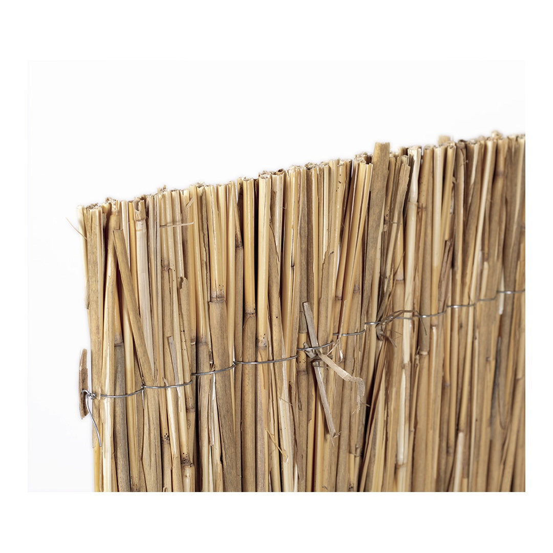 Cañizo bambú pelado multivarilla reed multi nortene