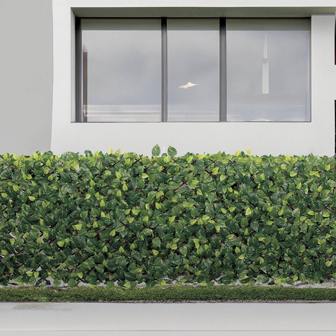 Celosía extensible extensy green