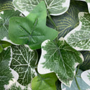 ALAMEDA VERTICAL GARDEN 50X50 CM GREEN NORTENE 