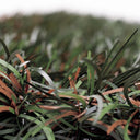 SETO ARTIFICIAL TRICOLOR HIDECURVE