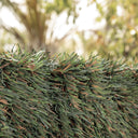 SETO ARTIFICIAL TRICOLOR HIDECURVE