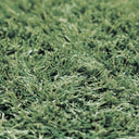 Césped artificial new piazza evolution 2x10 m 30 mm nortene