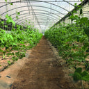 Malla galvanizada trellinet compost 2x10 m nortene