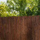 Tessuto di corteccia di pino monofacciale