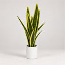 Planta artificial lengua de tigre 45 cm nortene