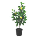 Planta artificial limonero 70 cm nortene