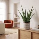 Planta artificial aloe vera 42 cm nortene